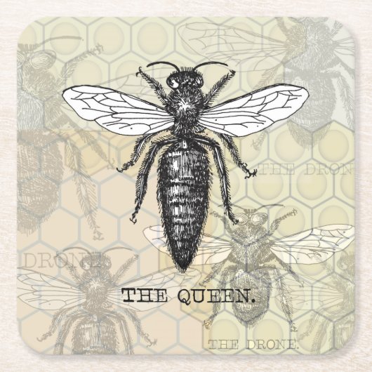 Queen Bee Bug Insect Antiek Illustratie Kartonnen Onderzetters (Voorkant)