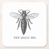 Queen Bee Bug Insect Antiek Illustratie Kartonnen Onderzetters (Voorkant)