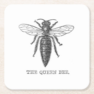 Queen Bee Bug Insect Antiek Illustratie Kartonnen Onderzetters