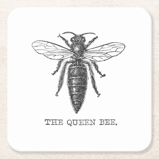 Queen Bee Bug Insect Antiek Illustratie Kartonnen Onderzetters (Voorkant)