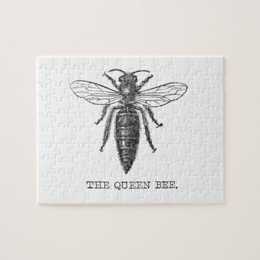 Queen Bee Bug Insect Antiek Illustratie Legpuzzel (Horizontaal)