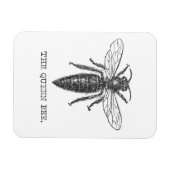 Queen Bee Bug Insect Antiek Illustratie Magneet (Horizontaal)