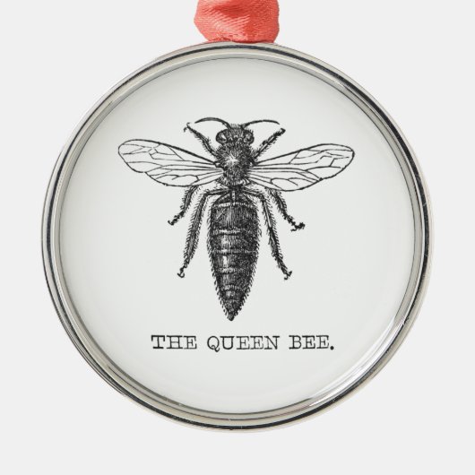 Queen Bee Bug Insect Antiek Illustratie Metalen Ornament (Voorkant)
