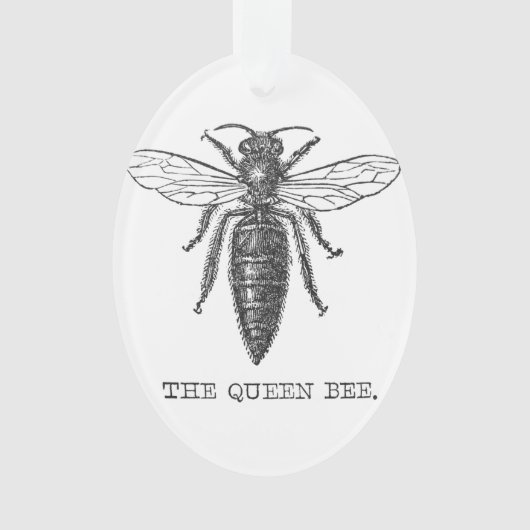 Queen Bee Bug Insect Antiek Illustratie Ornament (voorkant)