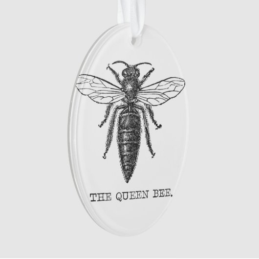 Queen Bee Bug Insect Antiek Illustratie Ornament (voorkant)