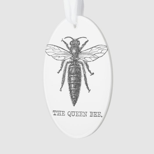 Queen Bee Bug Insect Antiek Illustratie Ornament (voorkant)
