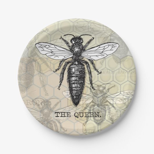 Queen Bee Bug Insect Antiek Illustratie Papieren Bordje (Voorkant)