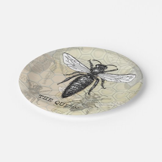 Queen Bee Bug Insect Antiek Illustratie Papieren Bordje (Gekanteld)