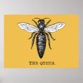 Queen Bee Bug Insect Antiek Illustratie Poster (Voorkant)