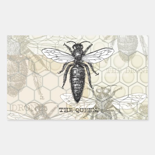 Queen Bee Bug Insect Antiek Illustratie Rechthoekige Sticker (Voorkant)