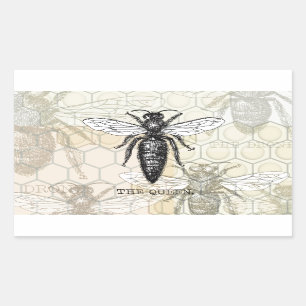 Queen Bee Bug Insect Antiek Illustratie Rechthoekige Sticker