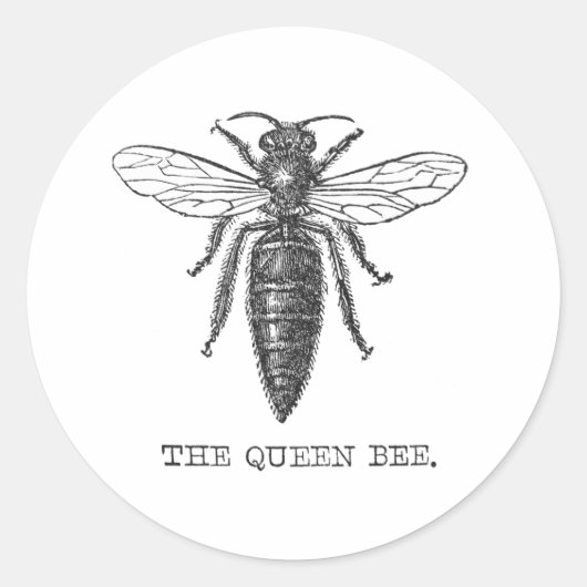 Queen Bee Bug Insect Antiek Illustratie Ronde Sticker (Voorkant)
