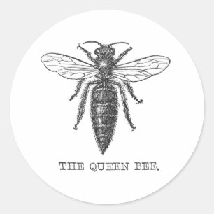 Queen Bee Bug Insect Antiek Illustratie Ronde Sticker
