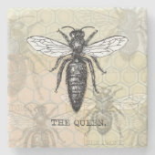 Queen Bee Bug Insect Antiek Illustratie Stenen Onderzetter (Voorkant)