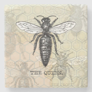 Queen Bee Bug Insect Antiek Illustratie Stenen Onderzetter