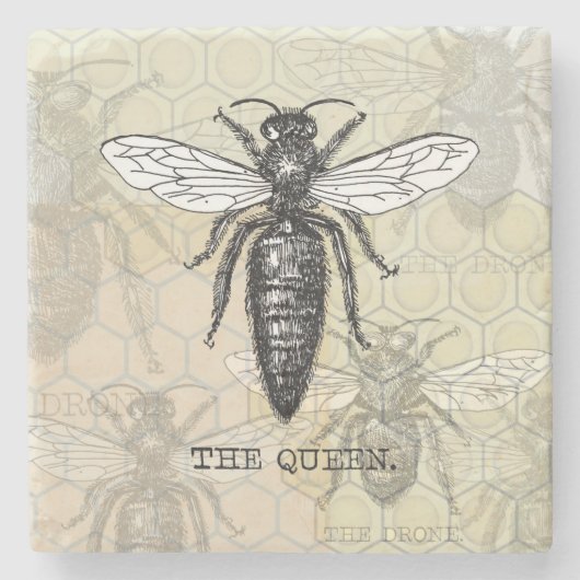 Queen Bee Bug Insect Antiek Illustratie Stenen Onderzetter (Voorkant)
