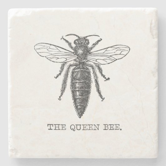 Queen Bee Bug Insect Antiek Illustratie Stenen Onderzetter (Voorkant)