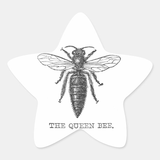 Queen Bee Bug Insect Antiek Illustratie Ster Sticker (Voorkant)