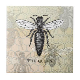 Queen Bee Bug Insect Antiek Illustratie Tegeltje
