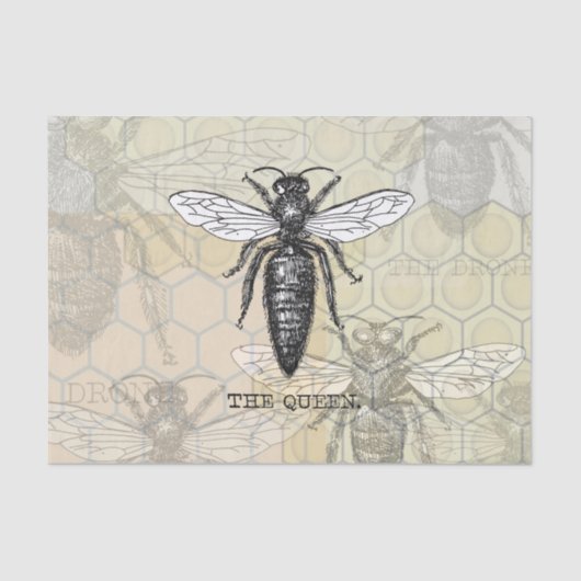 Queen Bee Bug Insect Antiek Illustratie Tissuepapier (Voorkant)