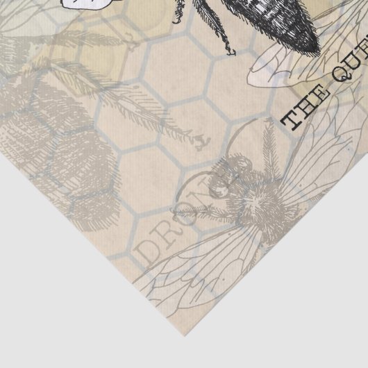 Queen Bee Bug Insect Antiek Illustratie Tissuepapier (Detail)