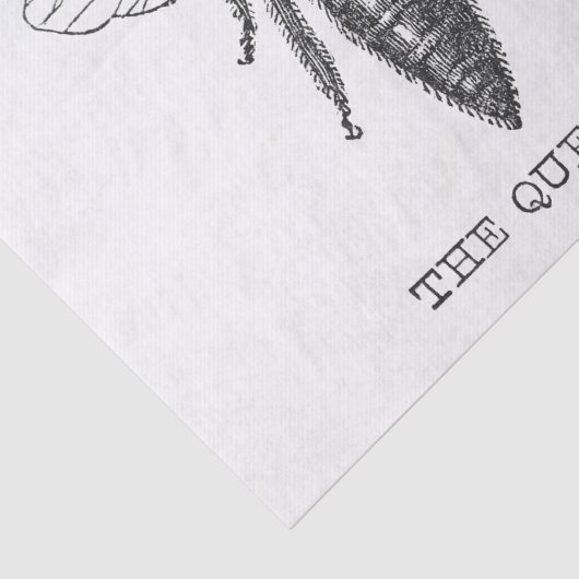 Queen Bee Bug Insect Antiek Illustratie Tissuepapier (Detail)