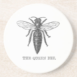 Queen Bee Bug Insect Antiek Illustratie Zandsteen Onderzetter