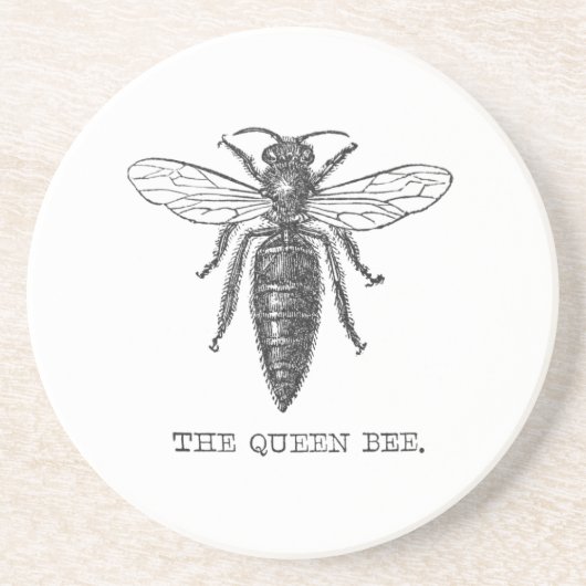 Queen Bee Bug Insect Antiek Illustratie Zandsteen Onderzetter (Voorkant)