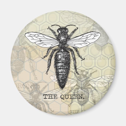 Queen Bee Illustration Bug Insect Magneet (Voorkant)