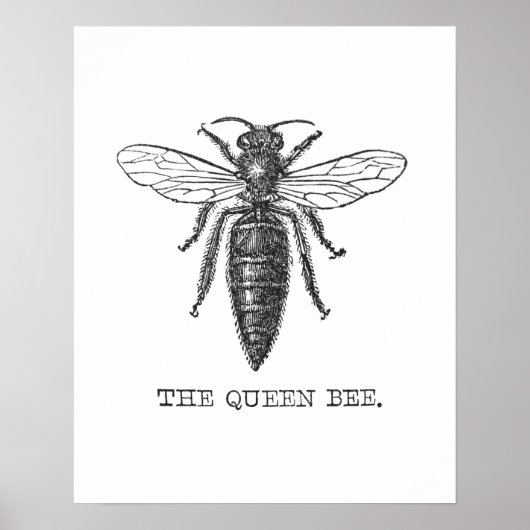 Queen Bee Illustration Bug Insect Poster (Voorkant)
