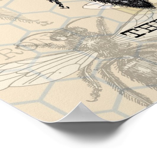 Queen Bee Illustration Bug Insect Poster (Hoek)