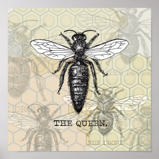 Queen Bee Illustration Bug Insect Poster (Voorkant)