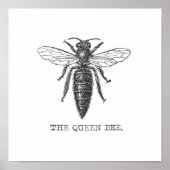 Queen Bee Illustration Bug Insect Poster (Voorkant)
