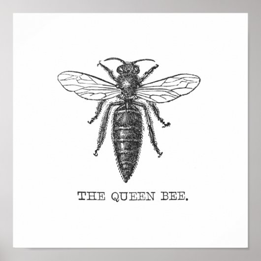 Queen Bee Illustration Bug Insect Poster (Voorkant)
