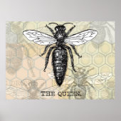 Queen Bee Illustration Bug Insect Poster (Voorkant)