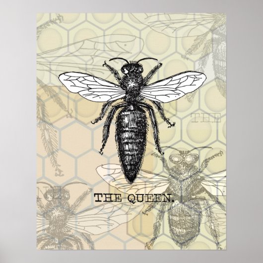 Queen Bee Illustration Bug Insect Poster (Voorkant)
