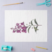 Queen Bee Serie Ontwerp 65 Tissuepapier (Craft)
