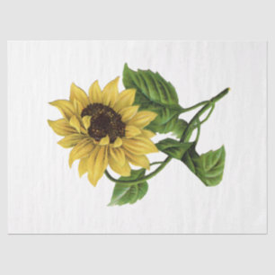Queen Bee Serie Ontwerp 66 Tissuepapier