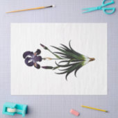 Queen Bee Series Design 62 Tissuepapier (Craft)