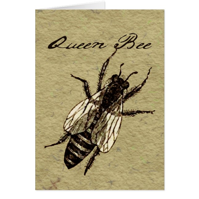 Queen Bee Wildlife Bug Insect (Voorkant)