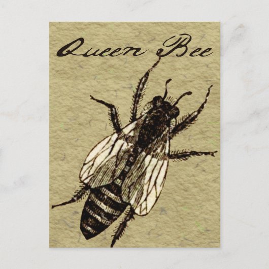 Queen Bee Wildlife Bug Insect Briefkaart (Voorkant)