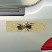 Queen Bee Wildlife Bug Insect Bumpersticker (Op auto)