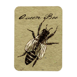 Queen Bee Wildlife Bug Insect Magneet