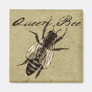 Queen Bee Wildlife Bug Insect Magneet
