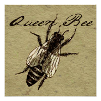 Queen Bee Wildlife Bug Insect