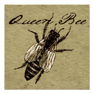 Queen Bee Wildlife Bug Insect Perfect Poster