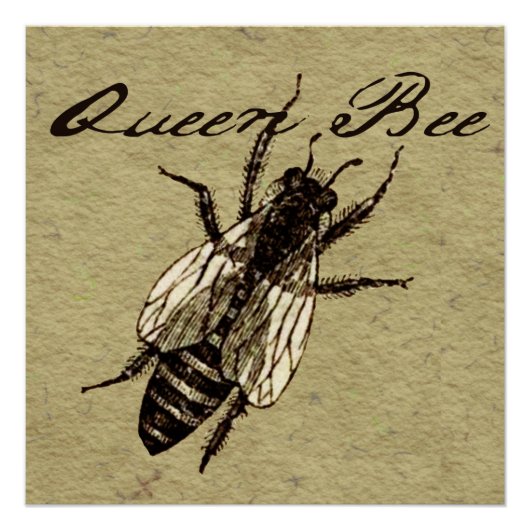 Queen Bee Wildlife Bug Insect Perfect Poster (Voorkant)