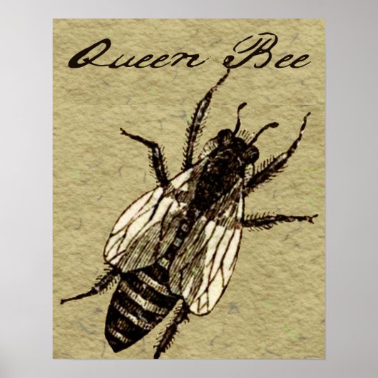 Queen Bee Wildlife Bug Insect Poster (Voorkant)