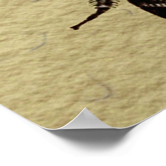 Queen Bee Wildlife Bug Insect Poster (Hoek)