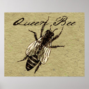 Queen Bee Wildlife Bug Insect Poster
